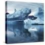 Icebergs Reflected in Water-null-Stretched Canvas