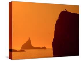 Icebergs Silhouetted at Sunset, Disko Bay, Greenland, August 2009-Jensen-Stretched Canvas