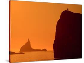 Icebergs Silhouetted at Sunset, Disko Bay, Greenland, August 2009-Jensen-Stretched Canvas