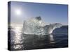 Icebergs , the Vatnajokull National Park, Iceland-Martin Zwick-Stretched Canvas