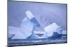 Icebergs-DLILLC-Mounted Photographic Print