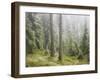 Iced Up Forest in the Wechsel Region, Lower Austria, Austria-Rainer Mirau-Framed Photographic Print