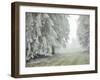 Iced Up Forest in the Wechsel Region, Lower Austria, Austria-Rainer Mirau-Framed Photographic Print