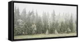 Iced Up Forest in the Wechsel Region, Lower Austria, Austria-Rainer Mirau-Framed Stretched Canvas