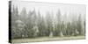 Iced Up Forest in the Wechsel Region, Lower Austria, Austria-Rainer Mirau-Stretched Canvas