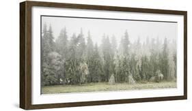 Iced Up Forest in the Wechsel Region, Lower Austria, Austria-Rainer Mirau-Framed Photographic Print