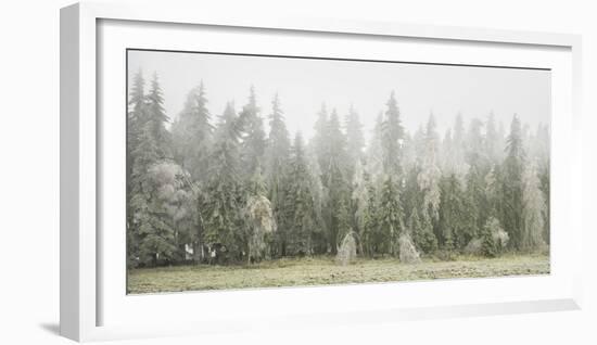 Iced Up Forest in the Wechsel Region, Lower Austria, Austria-Rainer Mirau-Framed Photographic Print