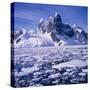 Iceflow off the Rugged West Coast of the Antartic Peninsula, Antarctica-Geoff Renner-Stretched Canvas