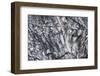 Iceland, abstract ash and ice formation on the Solheimajokull Glacier.-Mark Williford-Framed Photographic Print