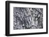 Iceland, abstract ash and ice formation on the Solheimajokull Glacier.-Mark Williford-Framed Photographic Print