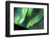 Iceland, Akureyri. Northern Lights glowing.-Ellen Goff-Framed Photographic Print