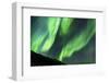 Iceland, Akureyri. Northern Lights glowing.-Ellen Goff-Framed Photographic Print