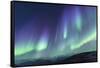 Iceland, Akureyri. Northern Lights glowing.-Ellen Goff-Framed Stretched Canvas