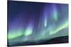 Iceland, Akureyri. Northern Lights glowing.-Ellen Goff-Stretched Canvas