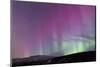 Iceland, Akureyri. Northern Lights glowing.-Ellen Goff-Mounted Photographic Print