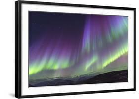 Iceland, Akureyri. The northern lights glow in unbelievable colors.-Ellen Goff-Framed Photographic Print