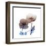 Iceland B2-Albert Koetsier-Framed Art Print