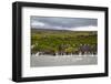 Iceland, Borgarfjordur. Cascades of water from nearby glaciers flow into the Hvita River.-Ellen Goff-Framed Photographic Print