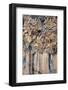 Iceland. Columnar basalt designs along the Skjalfandafljot River in the Bardardalur Valley.-Judith Zimmerman-Framed Photographic Print