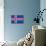 Iceland Country Flag - Letterpress-Lantern Press-Mounted Art Print displayed on a wall