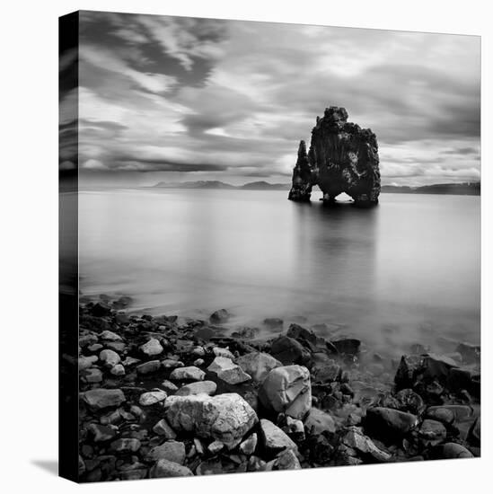 Iceland Dinosaur-Nina Papiorek-Stretched Canvas