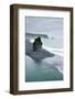 Iceland. Dyrholaey. Black Sand Beach and Sea Stack-Inger Hogstrom-Framed Photographic Print