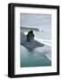 Iceland. Dyrholaey. Black Sand Beach and Sea Stack-Inger Hogstrom-Framed Photographic Print