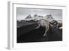 Iceland, East Iceland, Austurland , Black and White Dunes on Stokksens Beach after Blizzard-Salvo Orlando-Framed Photographic Print