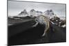 Iceland, East Iceland, Austurland , Black and White Dunes on Stokksens Beach after Blizzard-Salvo Orlando-Mounted Photographic Print