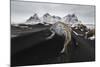 Iceland, East Iceland, Austurland , Black and White Dunes on Stokksens Beach after Blizzard-Salvo Orlando-Mounted Photographic Print