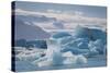 Iceland. East Region. Jokulsarlon. Glacial Lake. Icebergs in the Lake-Inger Hogstrom-Stretched Canvas