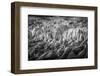 Iceland, Fjallsarlon, Ice-Hollice Looney-Framed Photographic Print