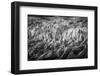 Iceland, Fjallsarlon, Ice-Hollice Looney-Framed Photographic Print