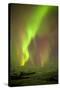 Iceland, Fjallsarlon. the Northern Lights Appearing in the Sky at Fjallsarlonll.-Katie Garrod-Stretched Canvas