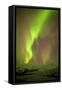 Iceland, Fjallsarlon. the Northern Lights Appearing in the Sky at Fjallsarlonll.-Katie Garrod-Framed Stretched Canvas