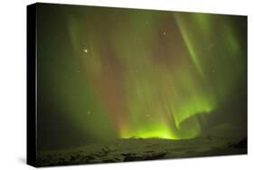 Iceland, Fjallsarlon. the Northern Lights Appearing in the Sky at Fjallsarlonll.-Katie Garrod-Stretched Canvas