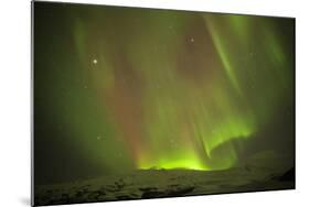 Iceland, Fjallsarlon. the Northern Lights Appearing in the Sky at Fjallsarlonll.-Katie Garrod-Mounted Photographic Print