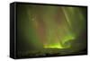 Iceland, Fjallsarlon. the Northern Lights Appearing in the Sky at Fjallsarlonll.-Katie Garrod-Framed Stretched Canvas