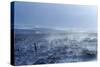 Iceland: Fjord in Wintertime Just North of Reykjavik, 2022 (Photo)-Sisse Brimberg-Stretched Canvas