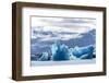 Iceland, floating glaciers form blue ice sculptures in Jokulsarlon, glacier lagoon.-Mark Williford-Framed Photographic Print