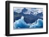 Iceland, floating glaciers form blue ice sculptures in Jokulsarlon, glacier lagoon.-Mark Williford-Framed Photographic Print