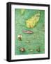 Iceland, from an Atlas of the World in 33 Maps, Venice, 1st September 1553-Battista Agnese-Framed Giclee Print