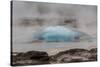 Iceland, Golden Circle, Strokkur Geyser. The Strokkur Geyser erupts with much steam.-Ellen Goff-Stretched Canvas