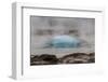 Iceland, Golden Circle, Strokkur Geyser. The Strokkur Geyser erupts with much steam.-Ellen Goff-Framed Photographic Print