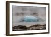 Iceland, Golden Circle, Strokkur Geyser. The Strokkur Geyser erupts with much steam.-Ellen Goff-Framed Photographic Print