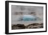 Iceland, Golden Circle, Strokkur Geyser. The Strokkur Geyser erupts with much steam.-Ellen Goff-Framed Photographic Print