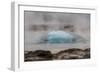 Iceland, Golden Circle, Strokkur Geyser. The Strokkur Geyser erupts with much steam.-Ellen Goff-Framed Photographic Print