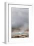 Iceland, Golden Circle. The Strokkur Geyser erupts with much steam.-Ellen Goff-Framed Photographic Print