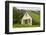 Iceland. Hofskirkja Yellow Church Turf Grass in Town of Hof in South Iceland-Bill Bachmann-Framed Photographic Print