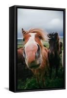 Iceland Horses and Clouds, Farm Scene, High Country Iceland-Vincent James-Framed Stretched Canvas